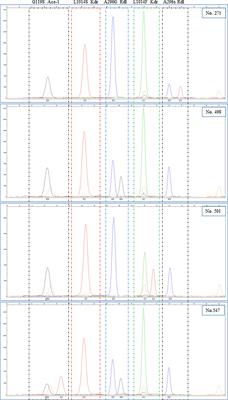 Molecular Detection of Insecticide Resistance Mutations in Anopheles gambiae from Sierra Leone Using Multiplex SNaPshot and Sequencing